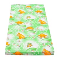 Dětská matrace New Baby 120x60 molitan-kokos zelená obrázky