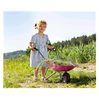 Dětské zahradní kolečko kovové Milly Mally Rolly Toys zelené