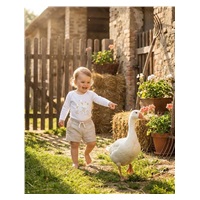 Dětské body s potiskem New Baby Husičky