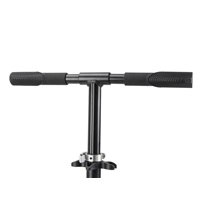 Dětská koloběžka Milly Mally ULTIMATE black