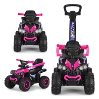 Dětské odrážedlo s vodící tyčí Milly Mally Wild 3v1 pink