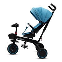 Dětská tříkolka Baby Mix Peony EVA modrá (poškozený obal)